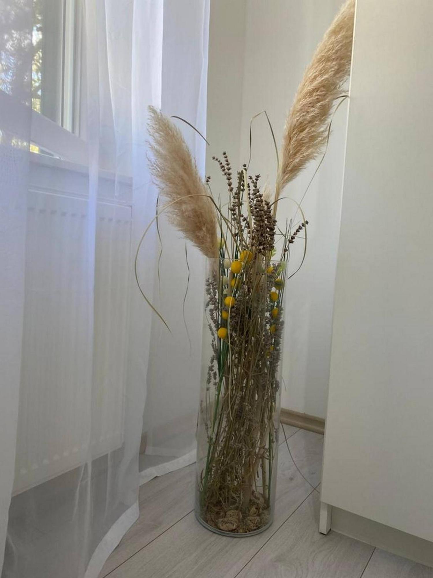 Rural Apartment Ante Drniš 외부 사진