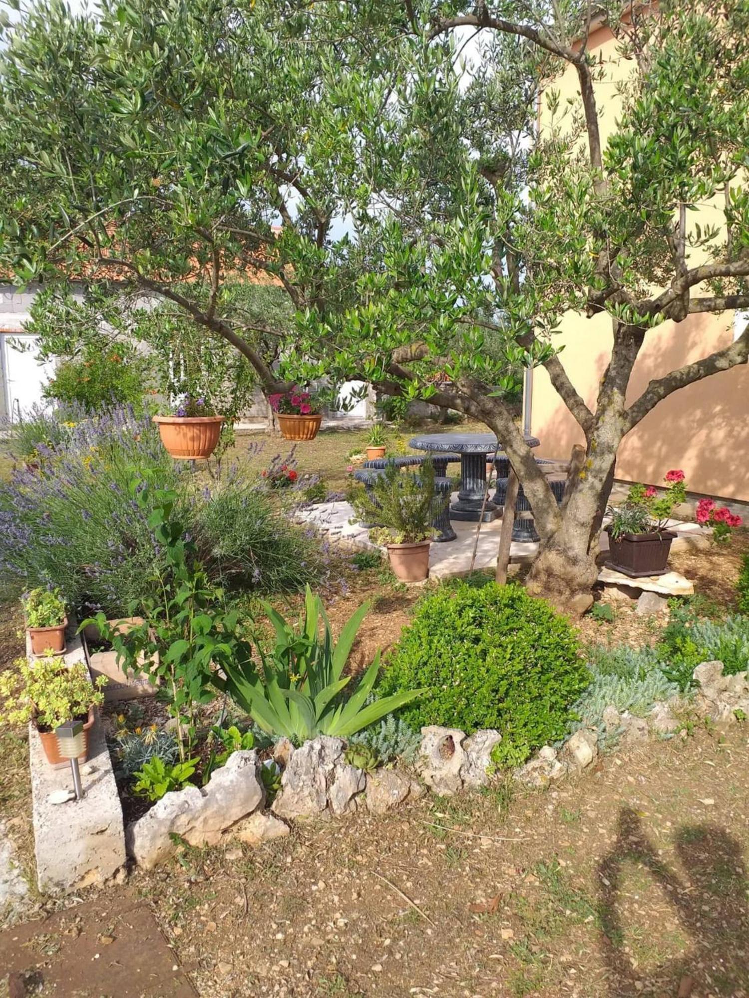 Rural Apartment Ante Drniš 외부 사진